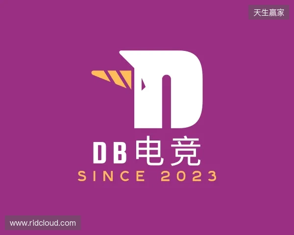 认识DB电竞在线